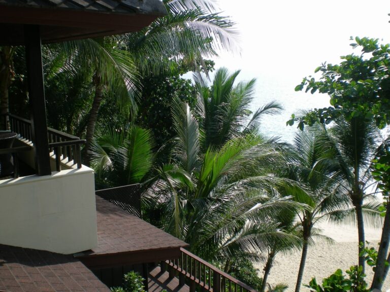 Palmeira Verde Perto Da Cerca De Madeira Marrom 9mA0f03OUqo