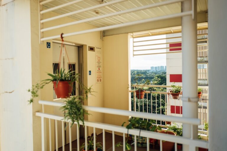 Planta Verde Do Vaso Na Cerca De Madeira Branca vDyhGm9WheE