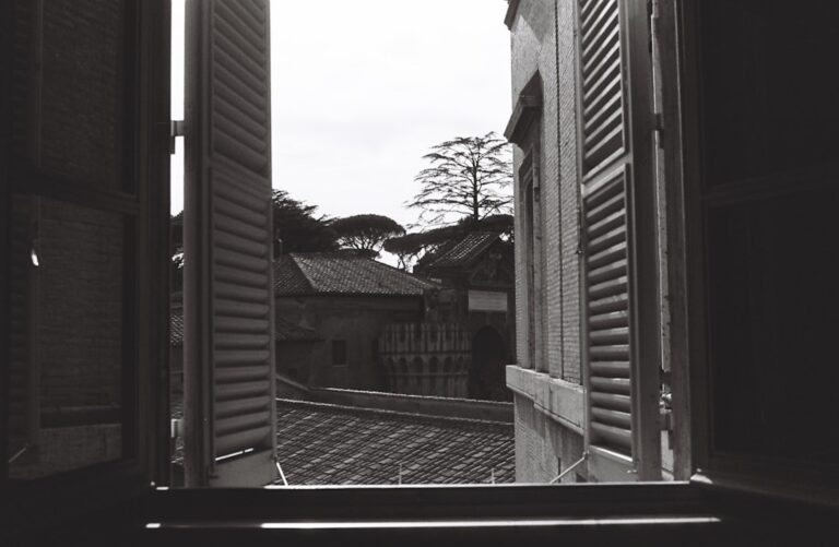 Vista Atraves De Uma Janela Aberta De Telhados E Arvores sHEt0 IZHlM