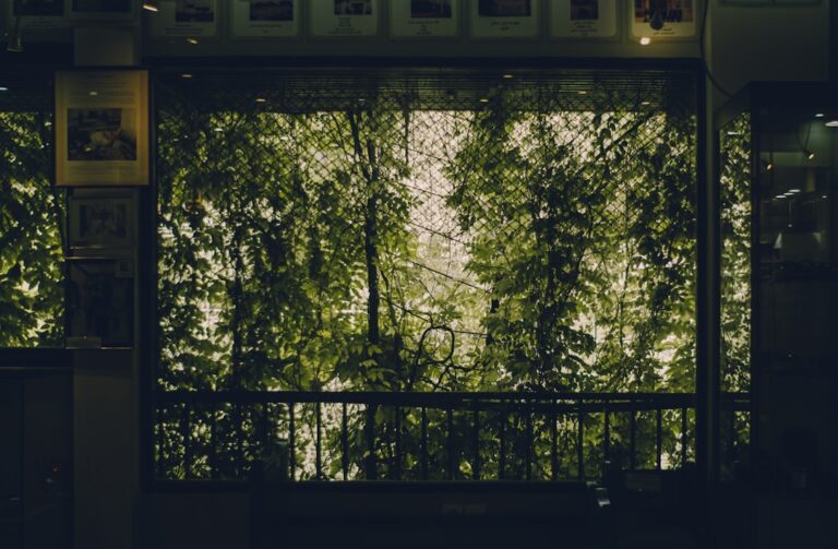 Vista De Arvores Verdes Exuberantes Atraves De Uma Janela 8LWS6s9L488