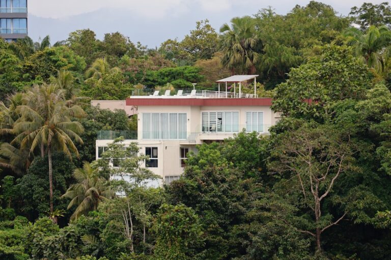 Casa Moderna Aninhada Entre Arvores Tropicais Verdes E Exuberantes I7fSJgJh3w8