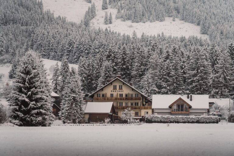 Arvores Cobertas De Neve Cercam Um Chale No Inverno _cEp0GMei80