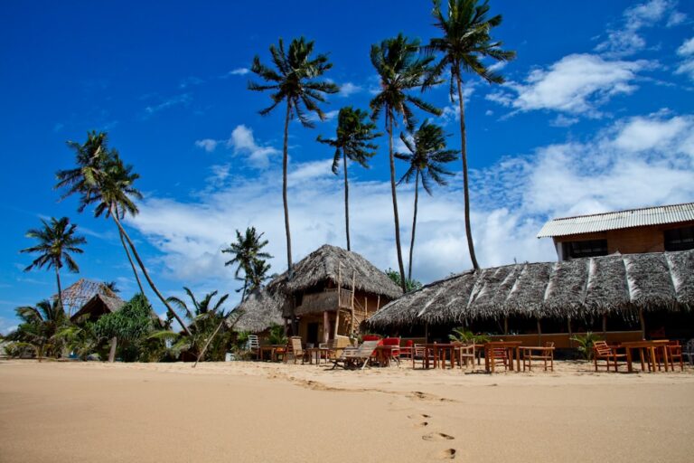 Arvores Ao Lado De Casas ckZBF99F2_c