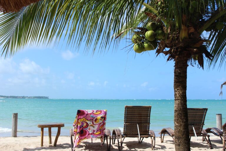 Uma Praia Com Cadeiras E Uma Mesa Sob Uma Palmeira 3 04H8TNsHI