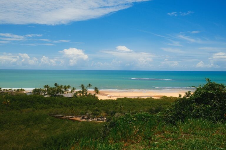 Uma Vista De Uma Praia E De Um Oceano De Um Monte zGF0mKZRsFo
