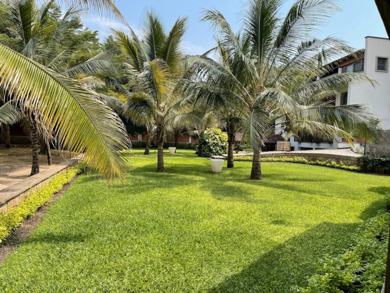 Um Quintal Verdejante Cercado Por Palmeiras ovDrI7pMobM