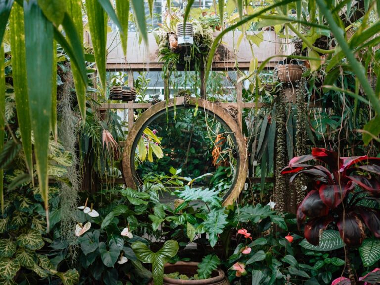 Um Espelho Cercado Por Plantas Em Uma Estufa xR0lfL kcBg