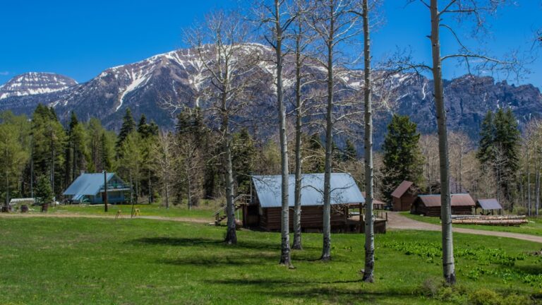 Cabanas Em Um Campo Gramado Com Montanhas Nevadas Atras yGfd4_ONwQk