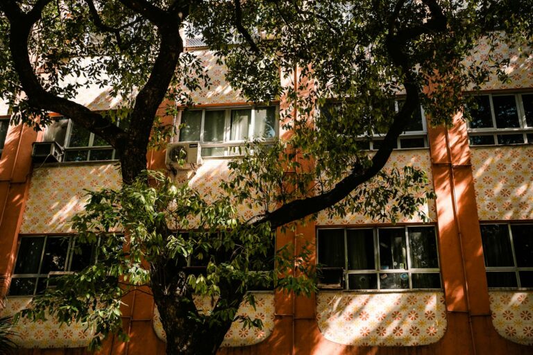 Sunlit tree casting shadows on a vibrant building in Rio de Janeiro.