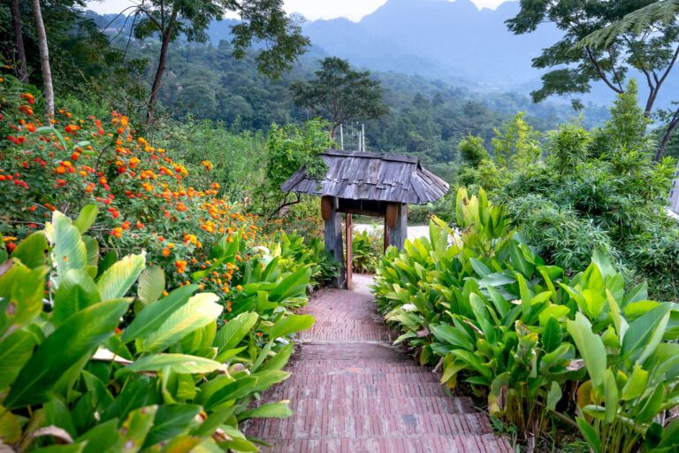 Stone stairs surrounded by lush tropical flowers and leading down to wooden construction in tropical country against dense trees in jungle